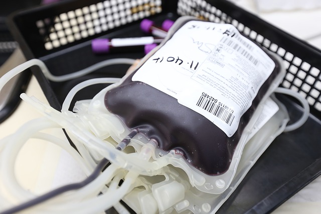 darování krve